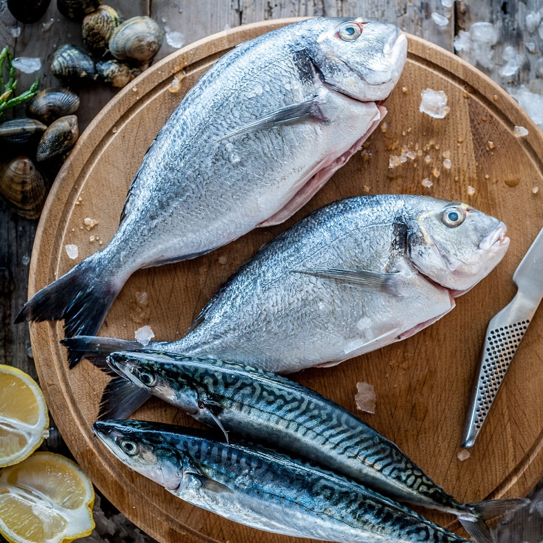 Cornish Shores Fish Box - Image 3