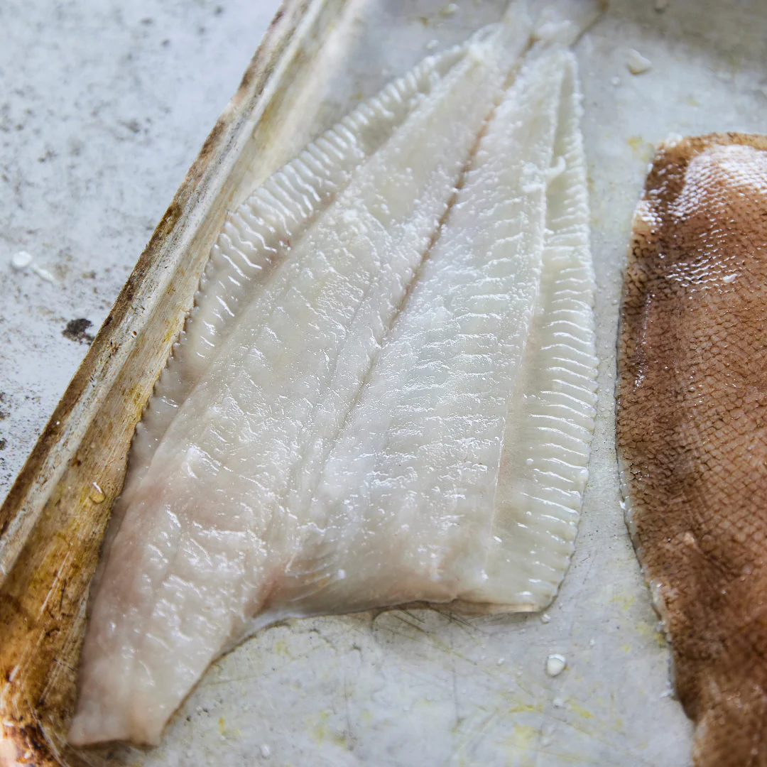 Megrim Sole Fillets - Image 2