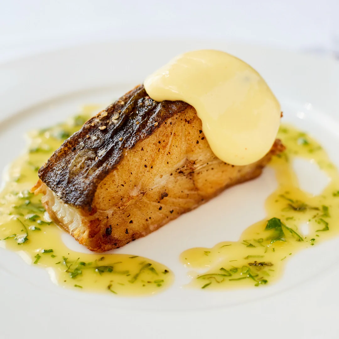 Tronçon of Turbot